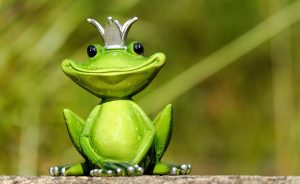 Legit Satta King Tips and Tricks: Pro Tips to Win in India (2026)