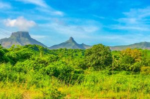 Easy Live Casino Login India: Step-by-Step Guide for India (2027)