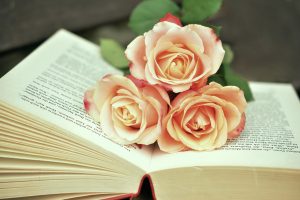 Instant Book of Ra Slot Sign Up: Step-by-Step Guide for India (2027)